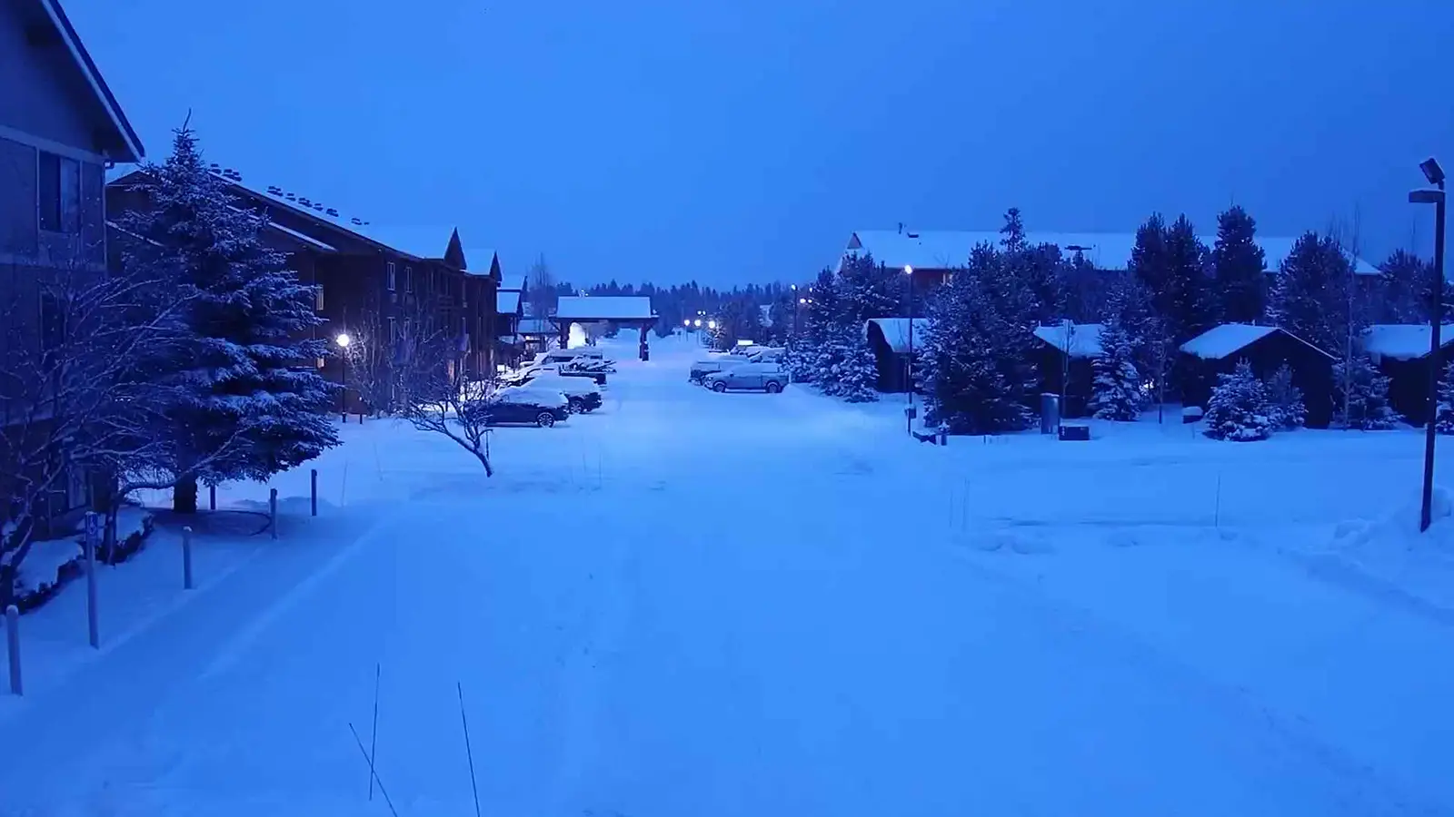 Popular cams of West Yellowstone Montana