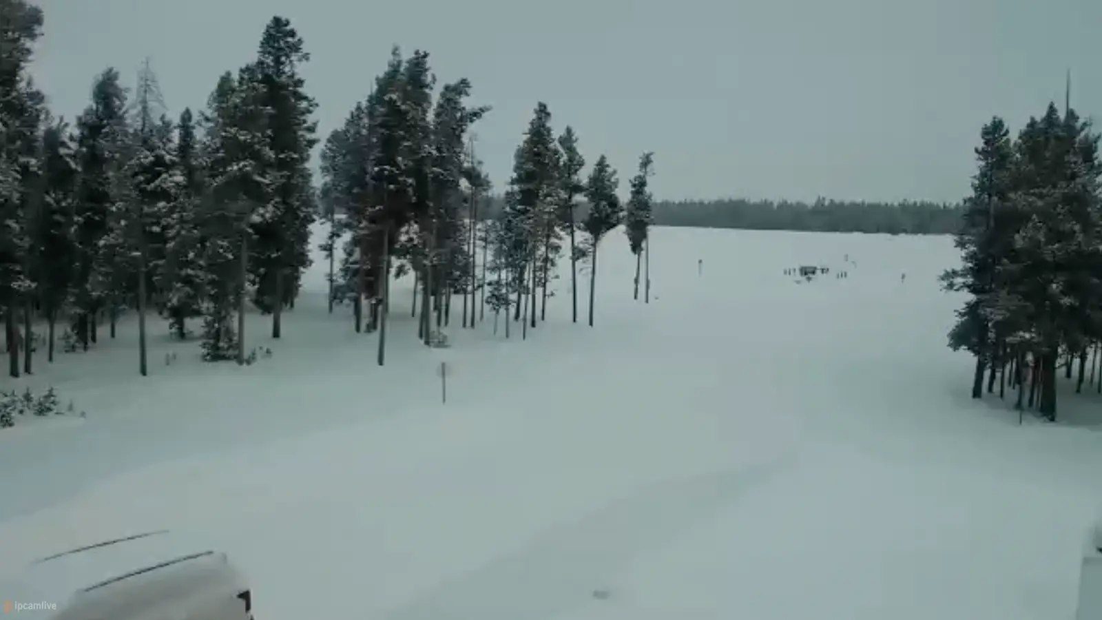 Popular cams of West Yellowstone Montana